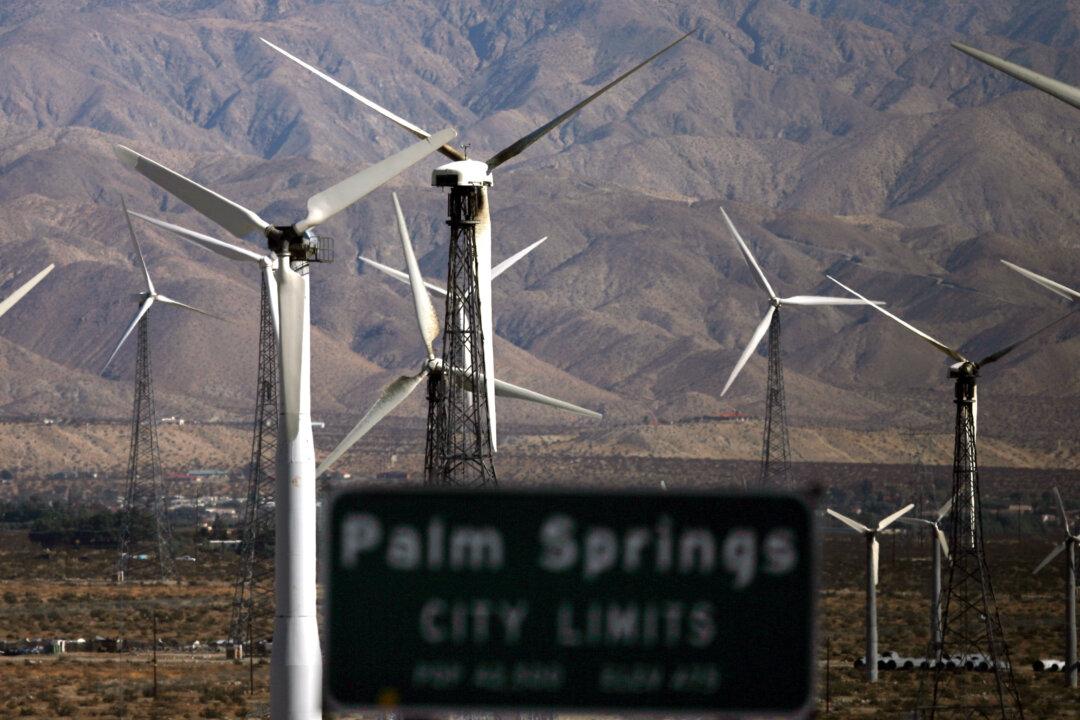 The IEA’s Plan to Destroy Freedom and Save the Planet