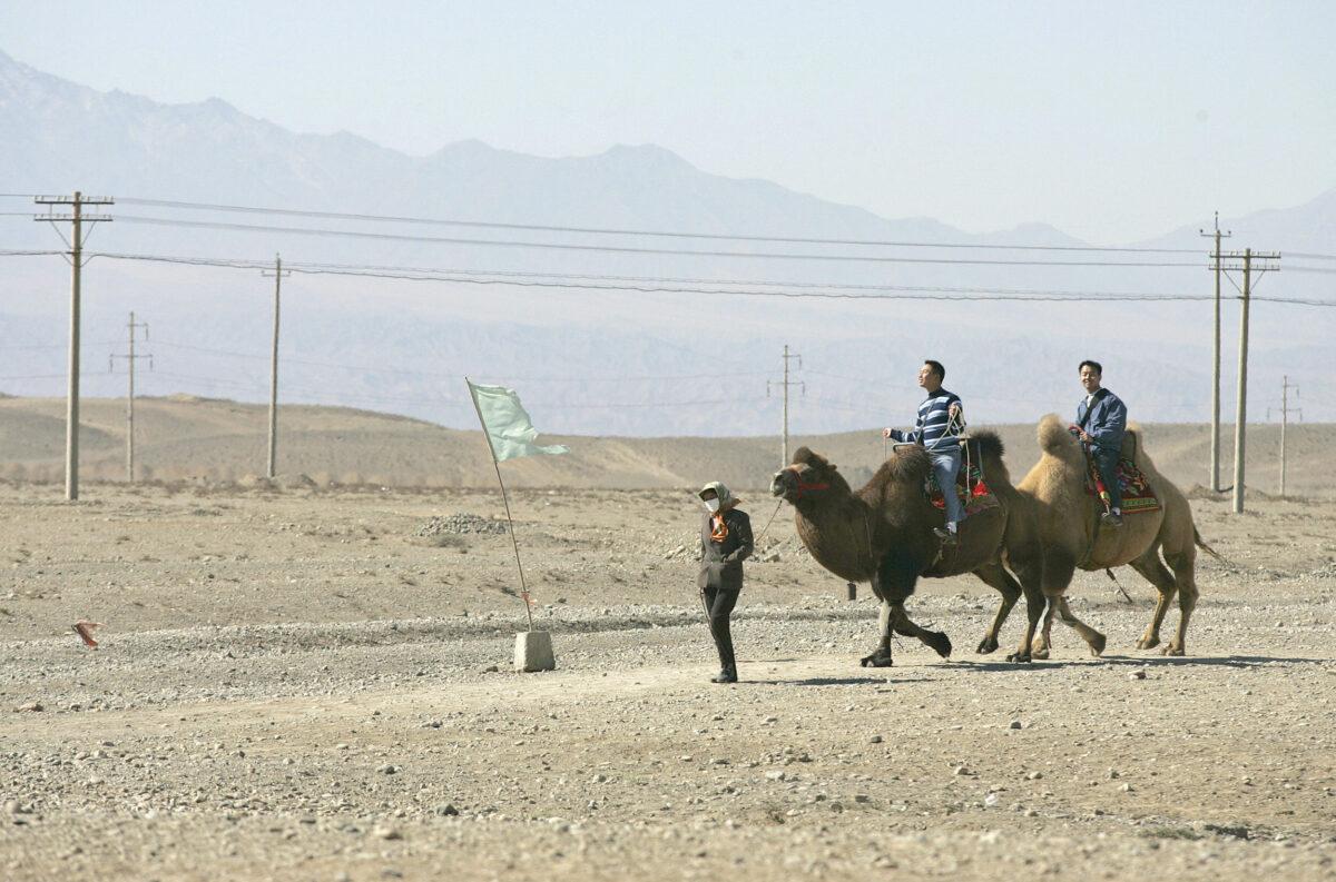 Tourists ride the camels in the Gobi near the famed tourist attraction Jiayuguan Pass, in China's northwestern Gansu Province,, on Oct. 13, 2005. (Liu Jin/AFP via Getty Images)