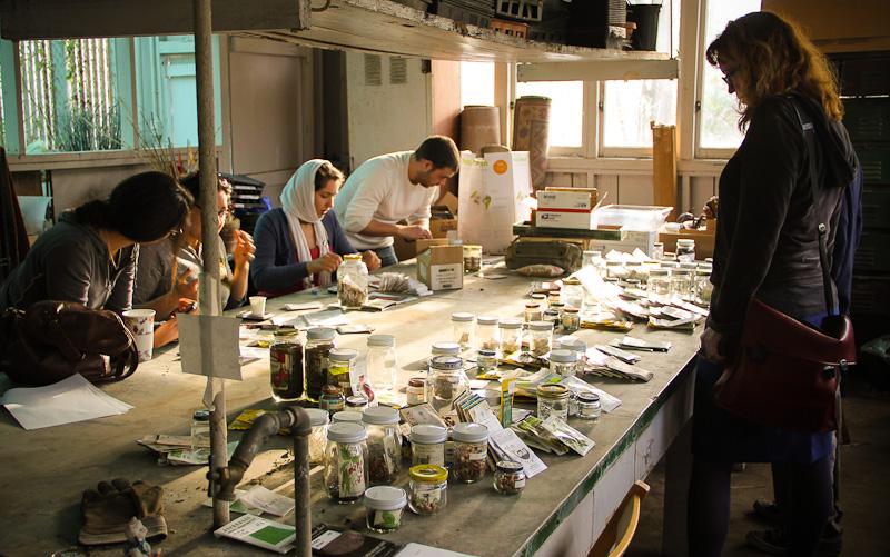 Saving and Sharing Seeds