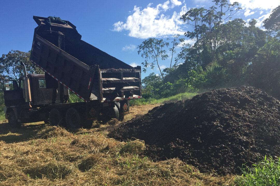 Researchers Dump Tons of Coffee Waste Onto Degraded Land, 2 Years Later It’s Transformed