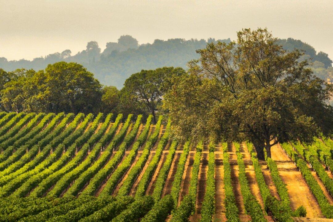 Remembering 2 California Wine Pioneers
