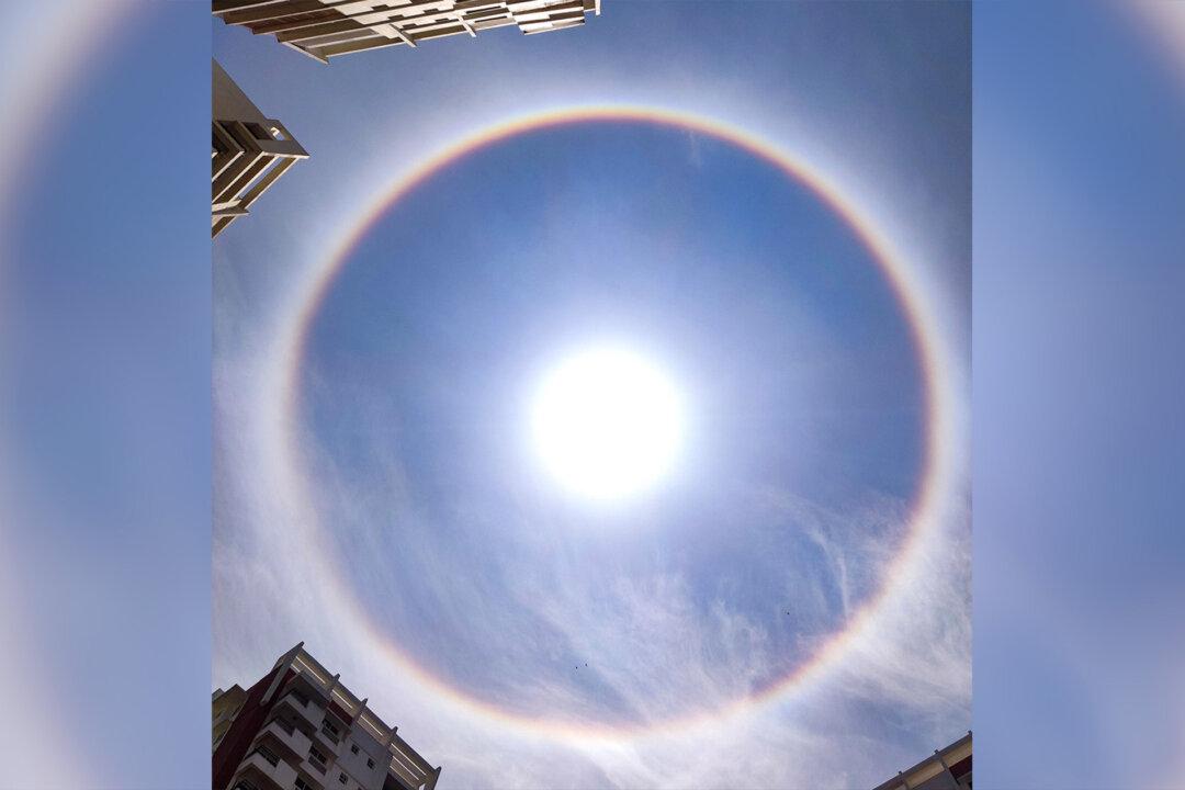 Skywatchers Witness Breathtaking Rainbow Halo Around the Sun Over City in Southern India