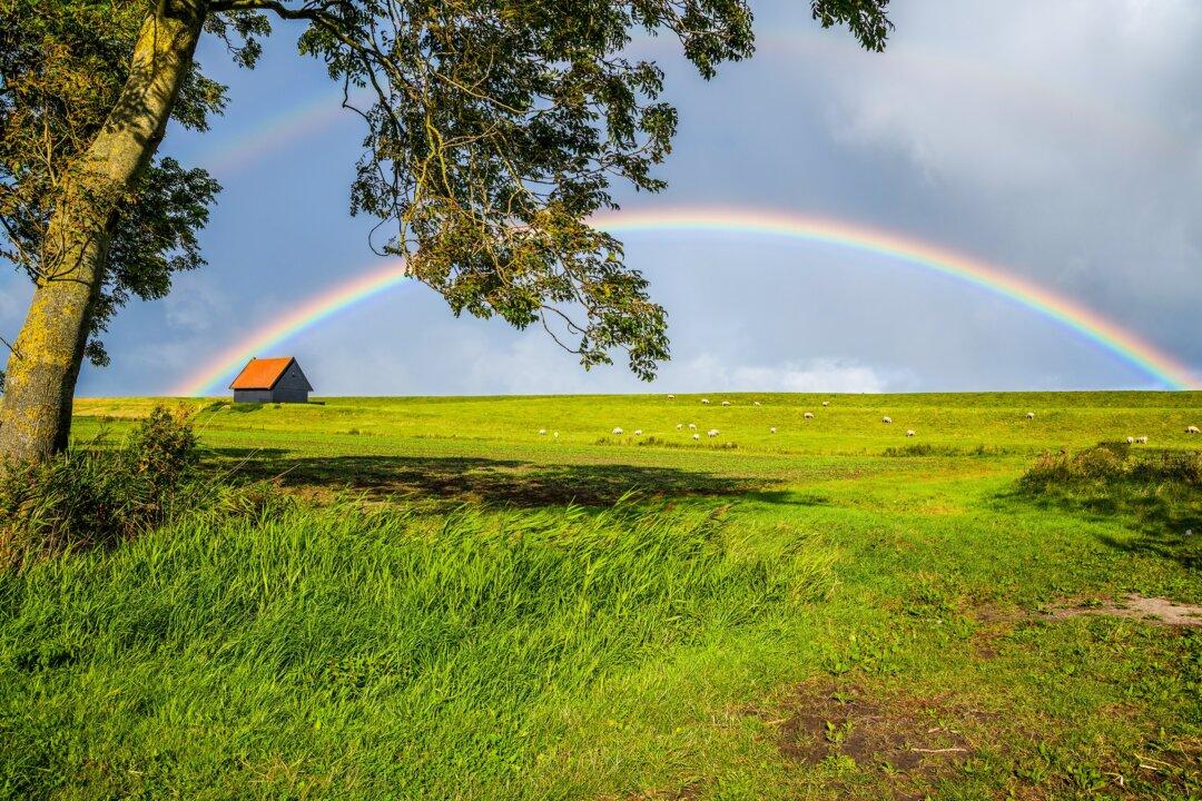 Changing Our Thinking About Thoughts