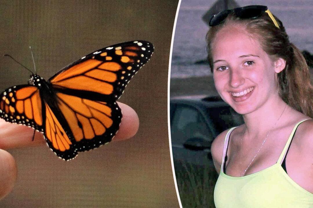 Butterfly Visits Dad After Daughter’s Death, Inspires Him to Raise Monarchs in Her Memory