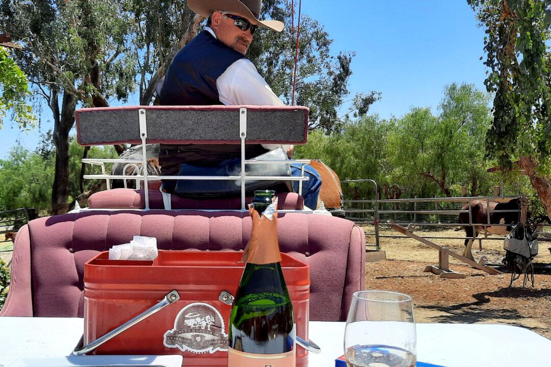 How Temecula Businesses Outwitted the Pandemic