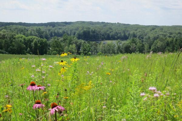 On the Chippewa circle trail. (Kevin Revolinski)
