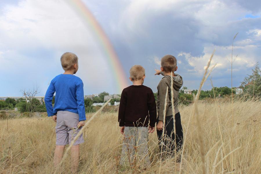 What Good Is Poetry? Wordsworth’s ‘The Rainbow’