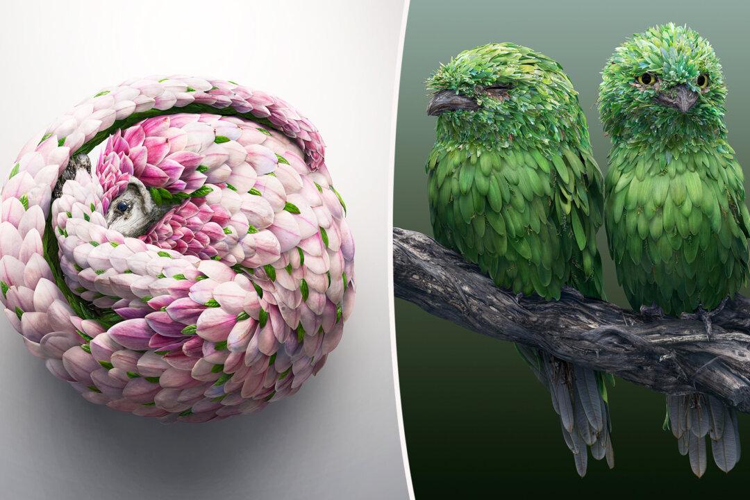 Artist Creates Gorgeous Animal Images Using Thousands of Nature Photos in Spectacular Unison