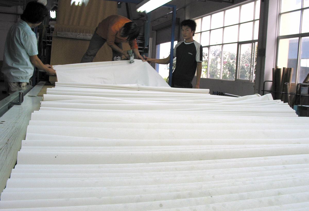 Calls for Audit as Timber Shortages Block White Paper Production in Australia