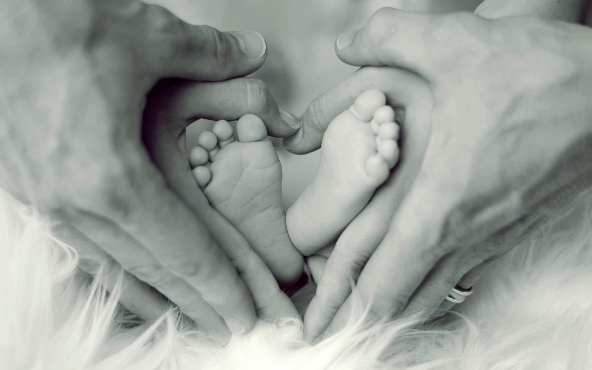 Suddenly, ‘The Population Bomb’ Is a Population Bust