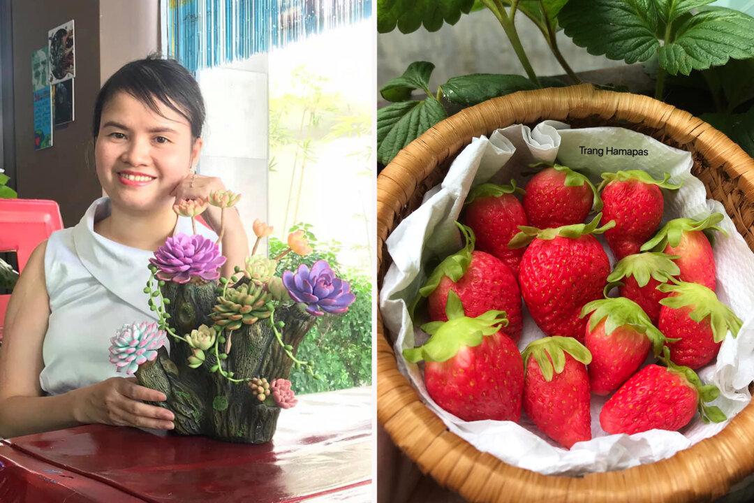 Photos: Unbelievably Intricate Clay Flowers and Succulents Look Too Real to Be Fake