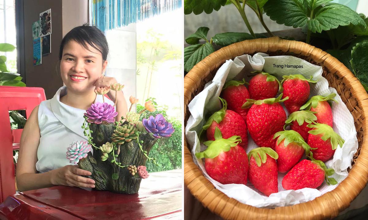 Photos: Unbelievably Intricate Clay Flowers and Succulents Look Too Real to Be Fake