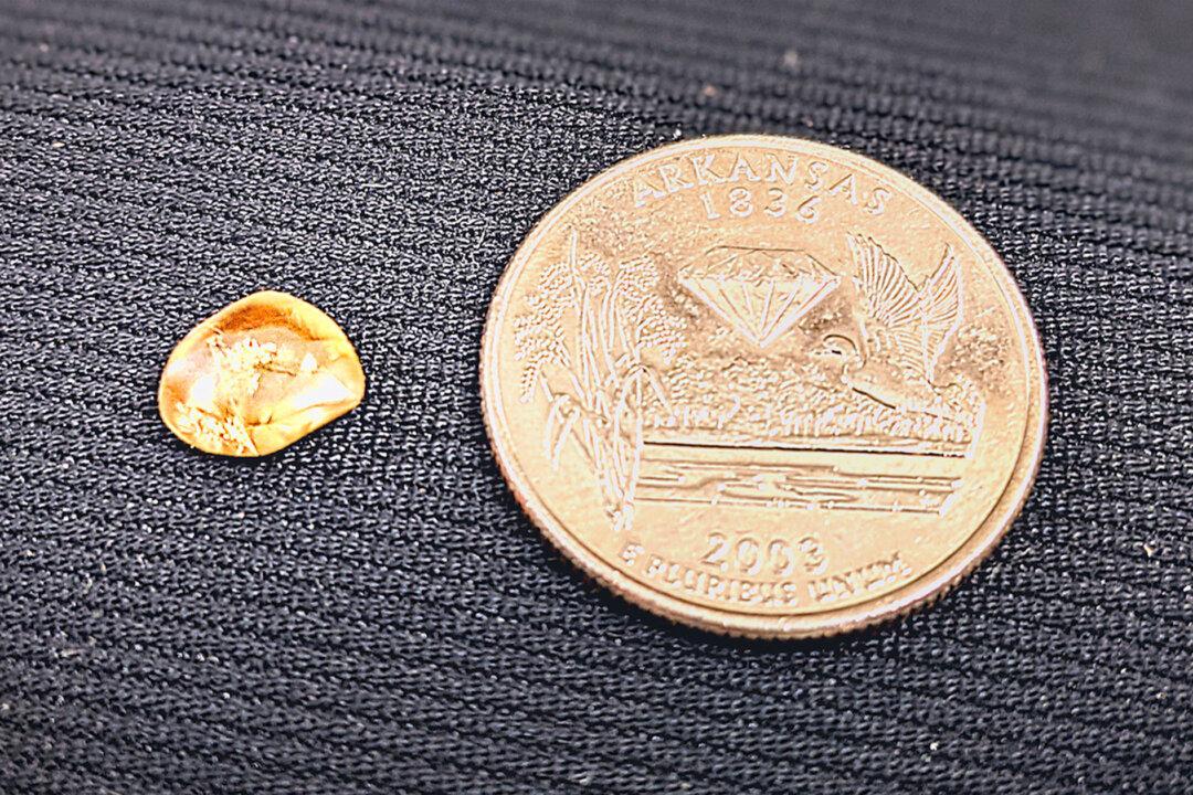 Treasure Hunter Unearths 2.2 Carat Yellow Diamond at State Park for Future Bride’s Engagement Ring