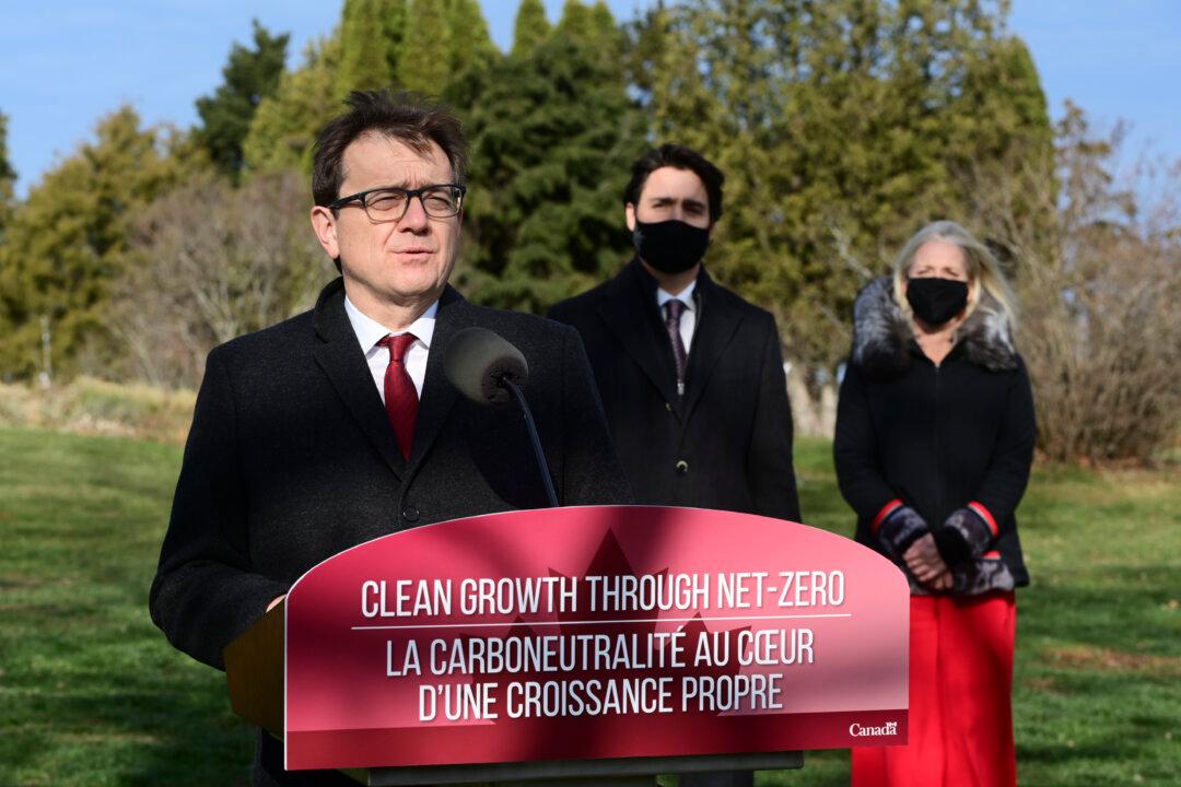 Emerging Analyses of Road to Net-Zero 2050 Suggest Hits to Economy, Biodiversity