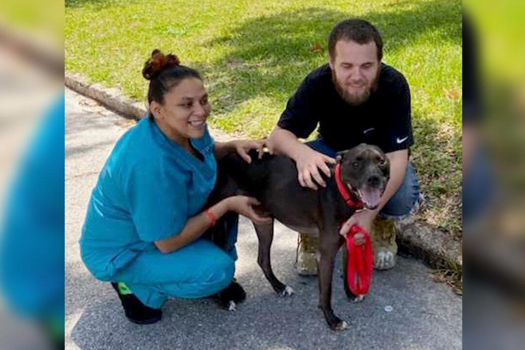 Formerly Homeless Man Gets Job, Reunites With Dog He Had to Surrender: ‘A Better Life’