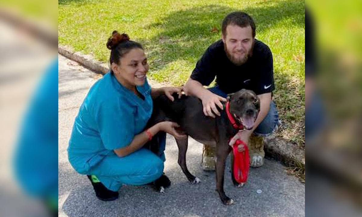 Formerly Homeless Man Gets Job, Reunites With Dog He Had to Surrender: ‘A Better Life’