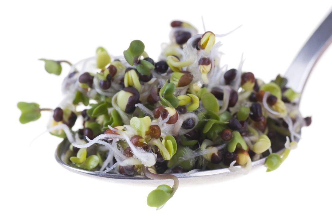 Make Wise Decisions Based on Facts About COVID-19