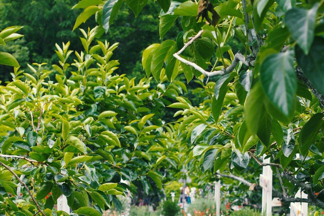 Gardening Bars And How To Make Them