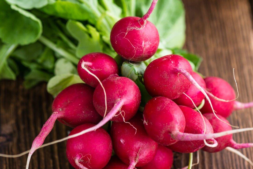 Taming the Troublesome Radish