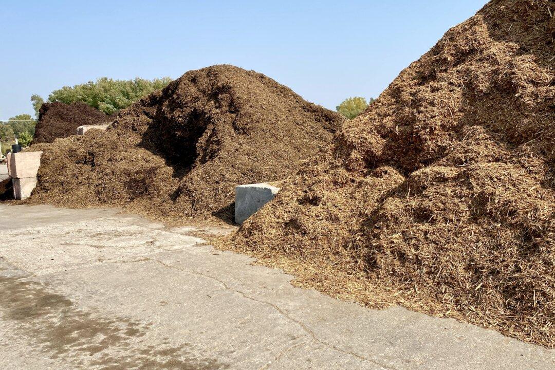 Cover Up—Why mulch matters no matter the season