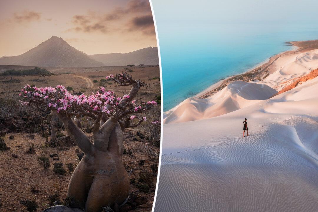 ‘One of the Most Stunning Places on the Planet’: Photographer Captures Surreal Landscapes on Socotra Island
