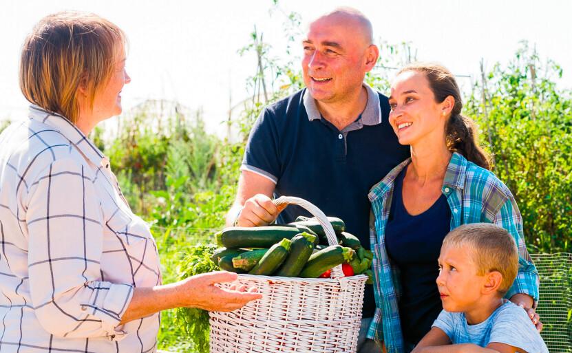 Summer Civics Boot Camp for the Whole Family