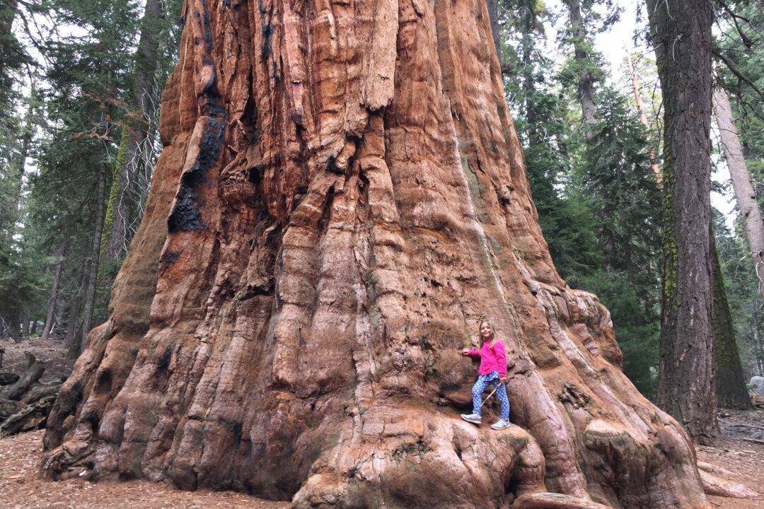 The Experience of Freedom