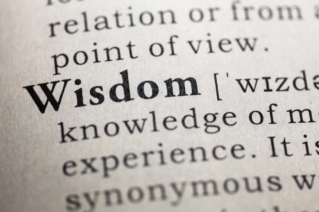 In Pursuit of Wisdom