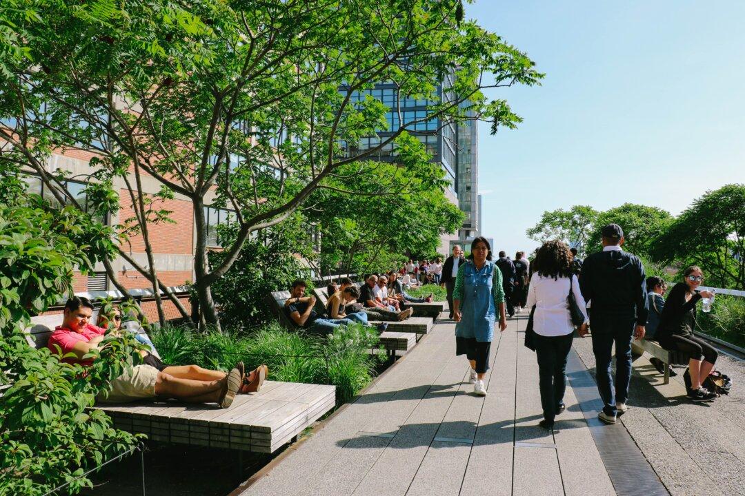Nature Can Boost Health of People in Cities