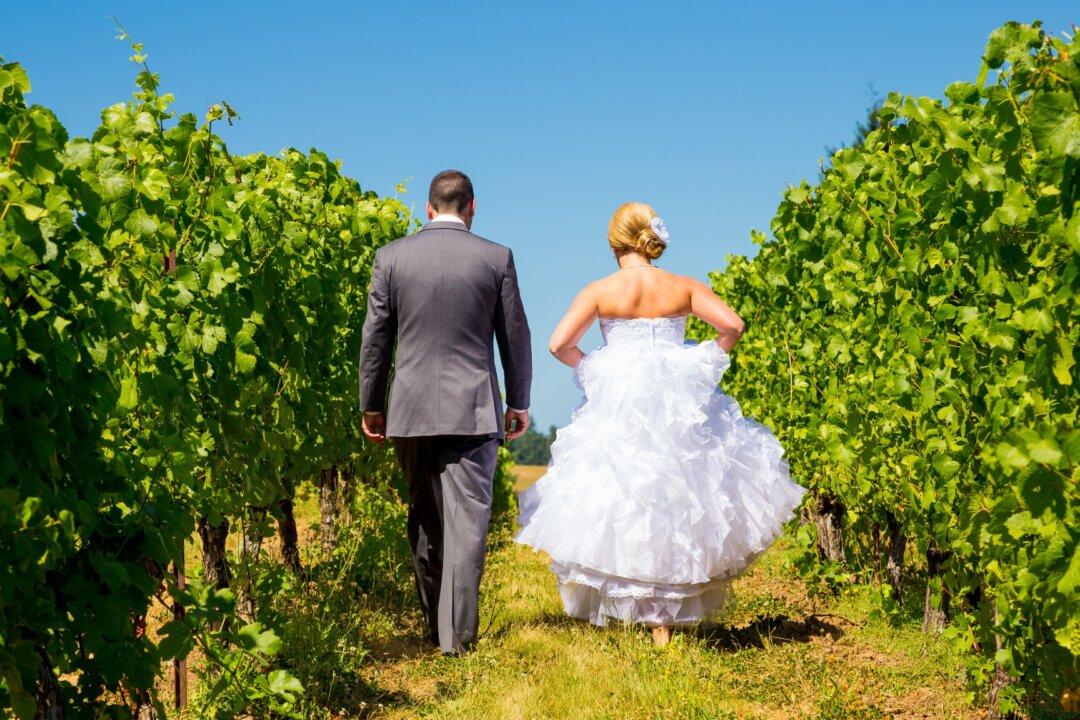 What Is a Winery? A Long-Time Debate in Sonoma County