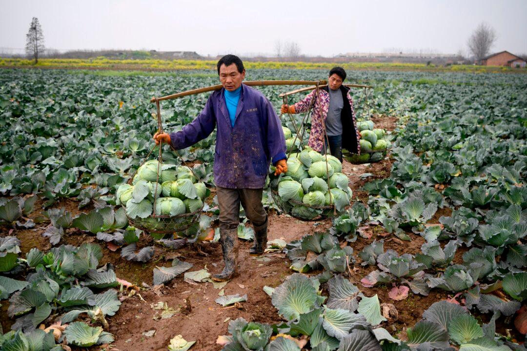 China’s Food Security in Crisis as Its Population Ages