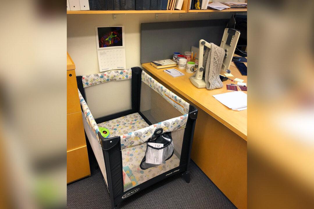 College Professor Posts Photo of New ‘Lab Equipment’ for Grad Student With New Baby—and It Goes Viral