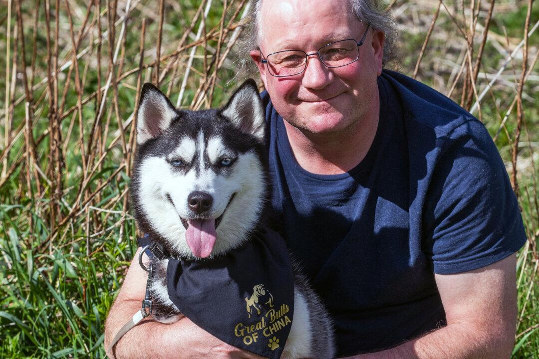 A Couple Sacrificed Getting a New Kitchen to Rescue Siberian Husky From Chinese Meat Trade