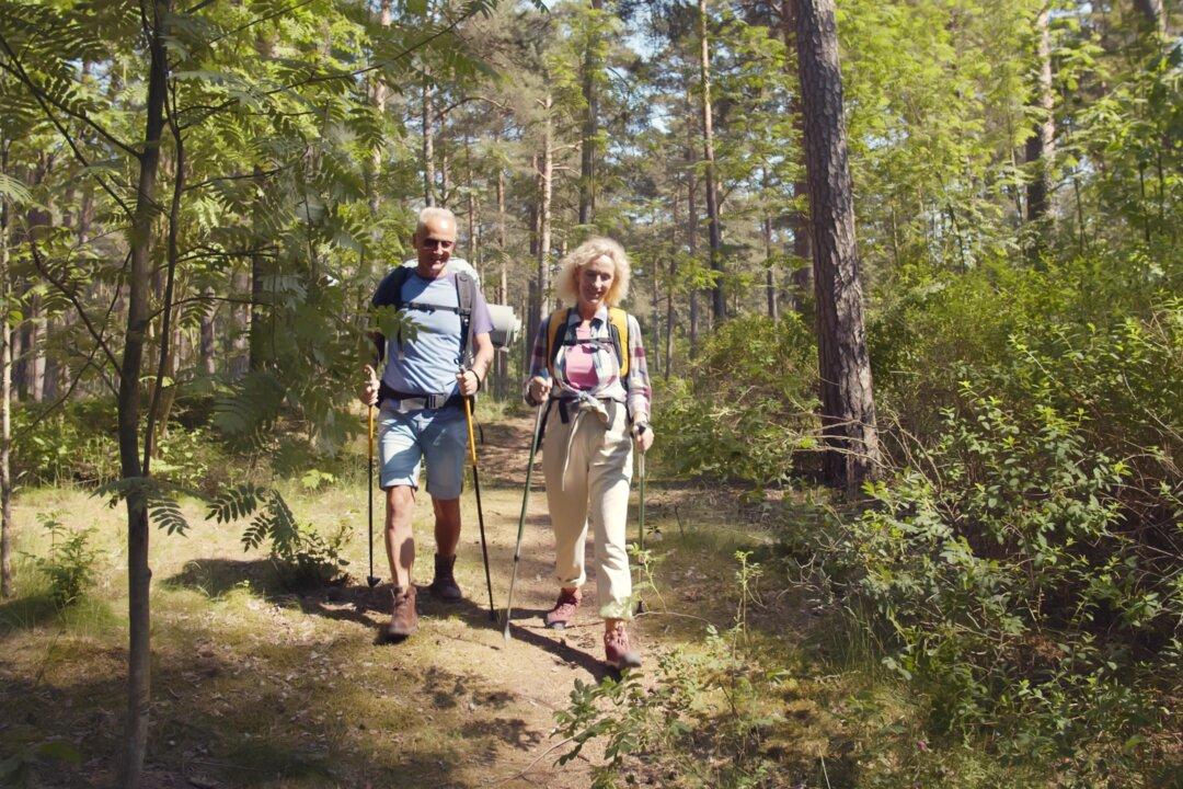 Hiking Workouts Are Good for the Body and Great for the Mind