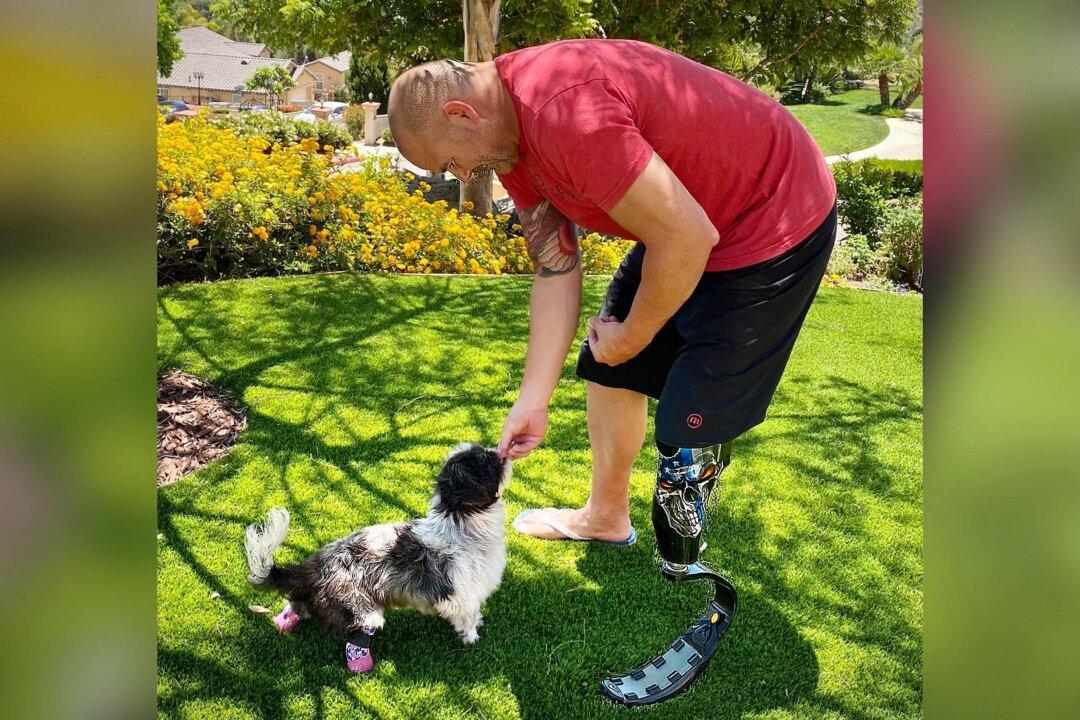 Double Amputee Dog Rescued From Abusive Home Adopted by Police Officer Who Lost Leg in Crash