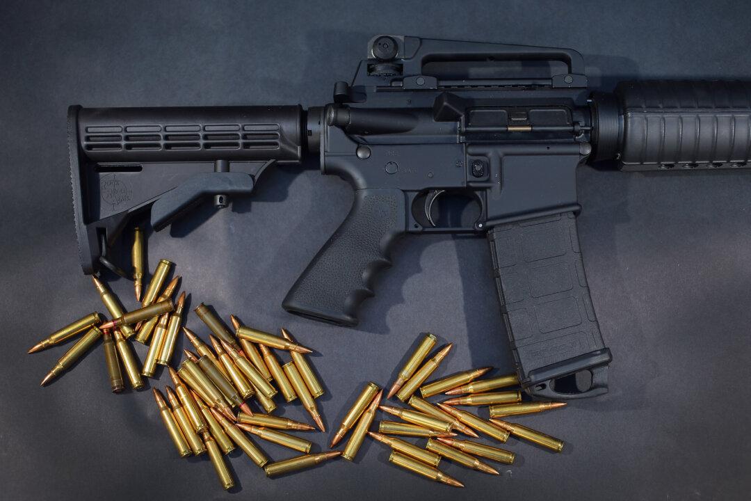 Judge Puts Illinois ‘Assault Weapon’ Ban on Hold