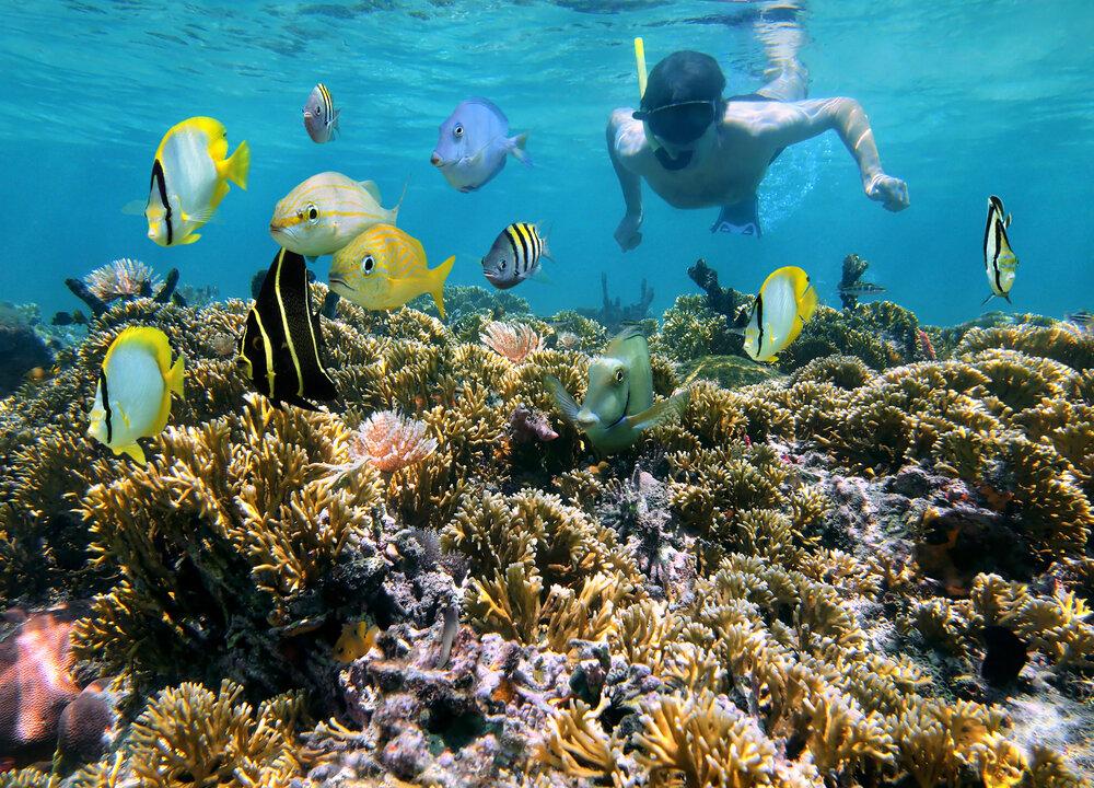 Australia’s Beaches With Most Plastic Revealed