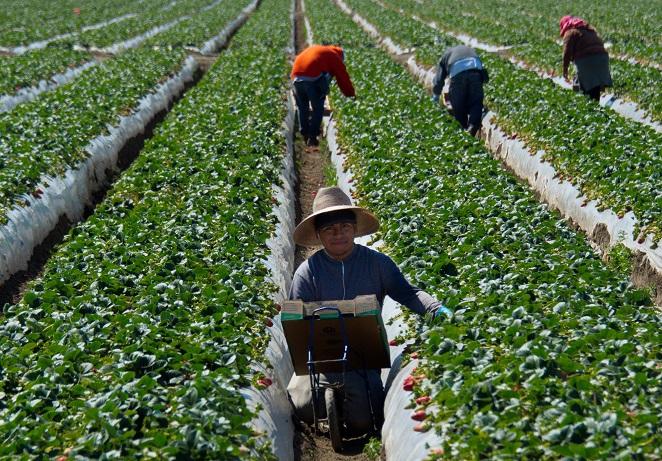 Ontario Seeks Heavy New Fines for Employers Who Withhold Workers’ Passports