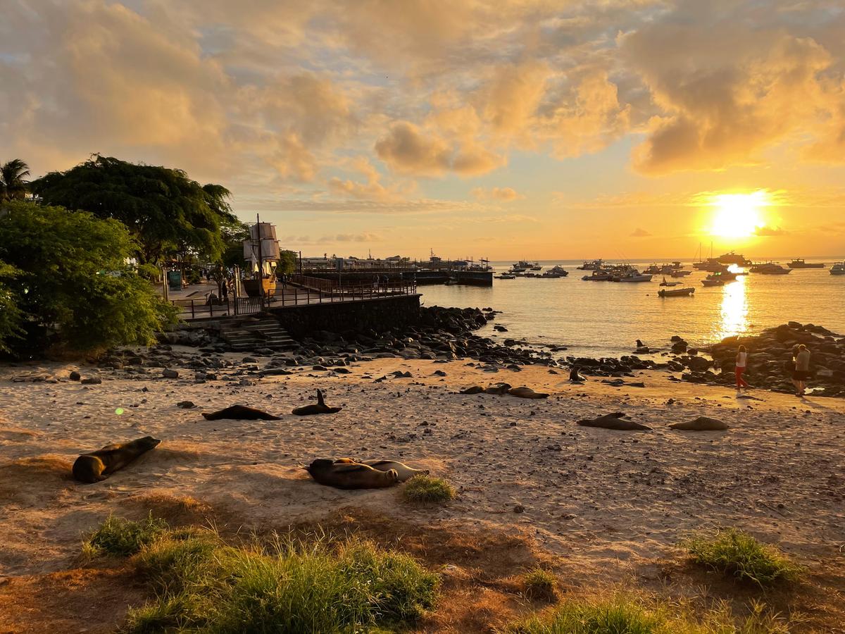 Trip of a Lifetime: How to Visit the Galápagos