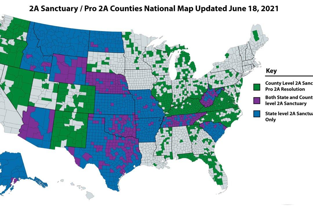 Gun Sanctuary Movement Erupts: 61 Percent of US Counties Now ‘Second Amendment Sanctuaries’