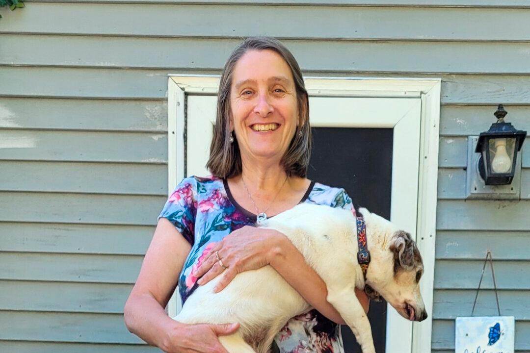 12 Old Dogs and Hugs for Life