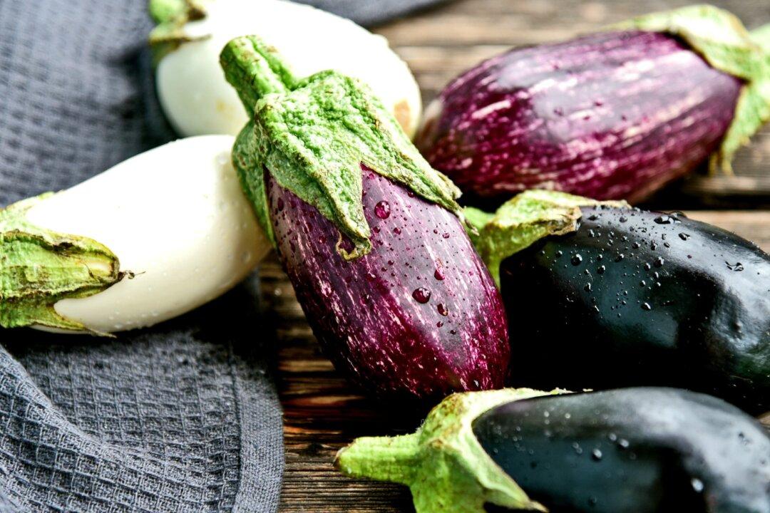 Cooking With Eggplant, the Queen of Summer Vegetables