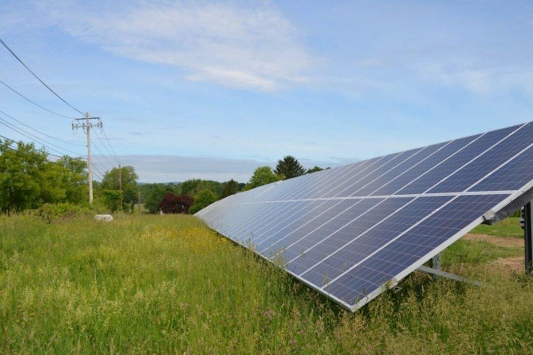 Green Groups Redirect Efforts to Reconciliation Package: Report