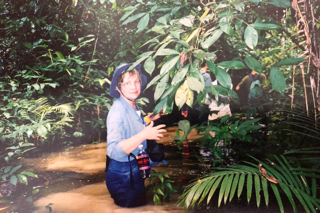 Going for a Jungle Swim