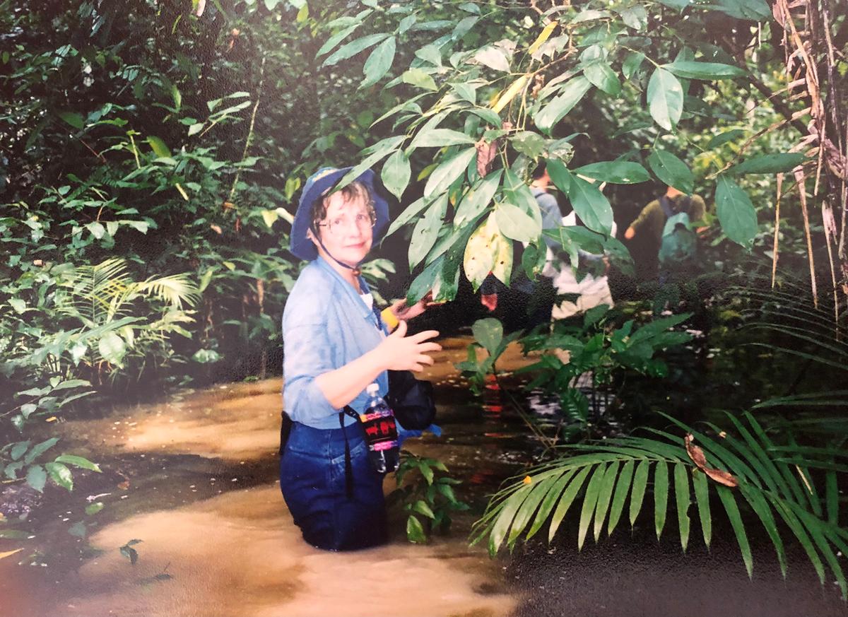 Going for a Jungle Swim