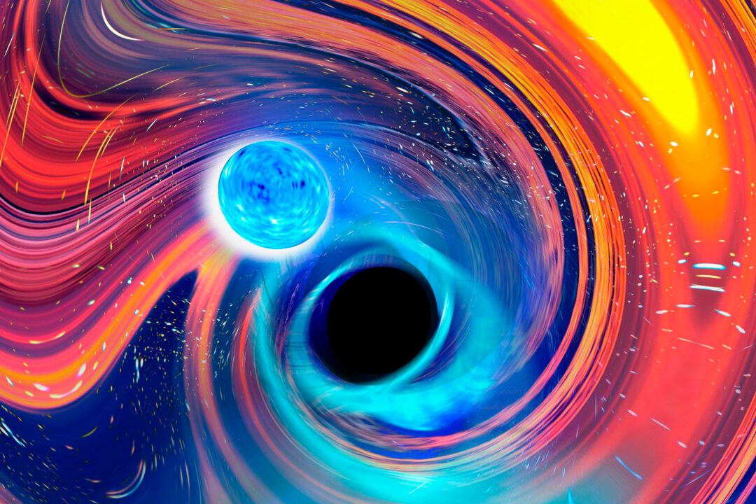 Cosmic Gulp: Astronomers See Black Hole Swallow Neutron Star