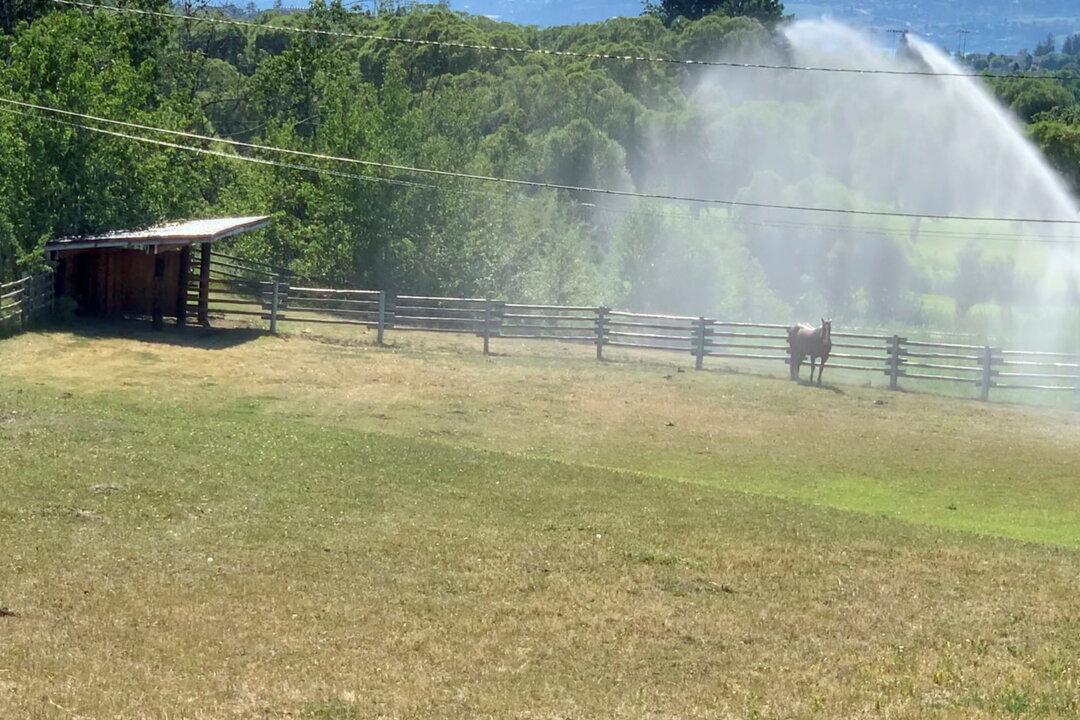 Deadly Canadian Heatwave Eases but Continues to Shatter Records