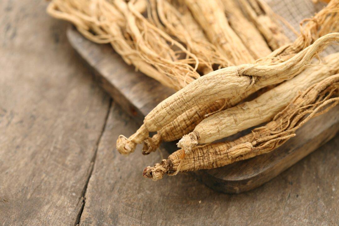 Top Therapeutic Properties of Ginseng