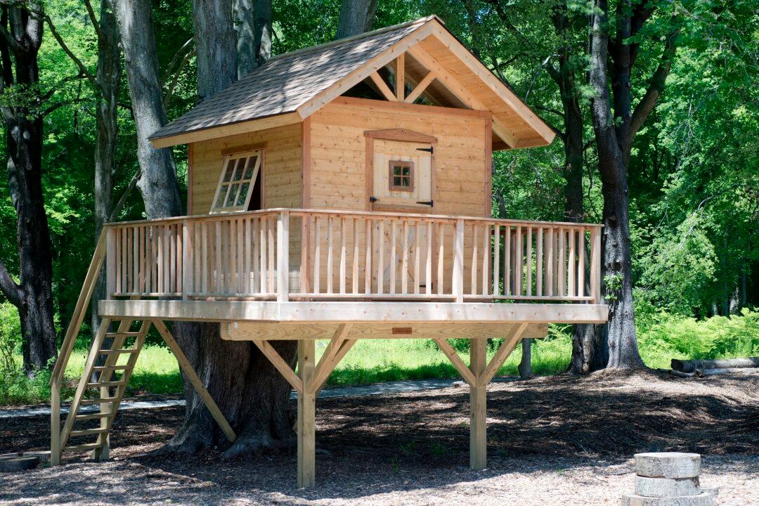 Building Childhood Dreams: DIY Backyard Treehouses, Ninja Courses, and More