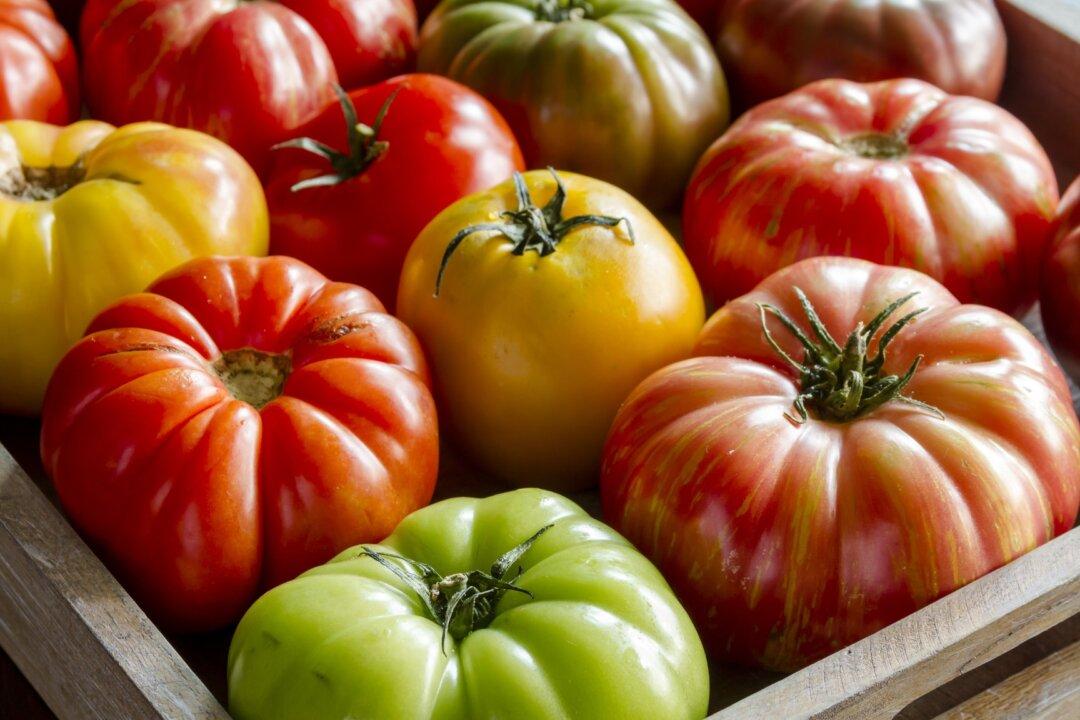 Make the Most of Tomato Season With These Recipes